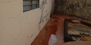 Casa - vila paulista