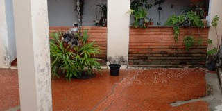 Casa - vila paulista