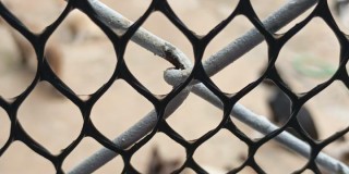 Casa térrea - vila santa lucia