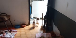 Casa térrea - vila santa lucia