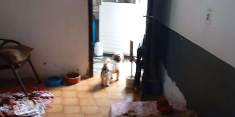 Casa térrea - vila santa lucia - Foto 3